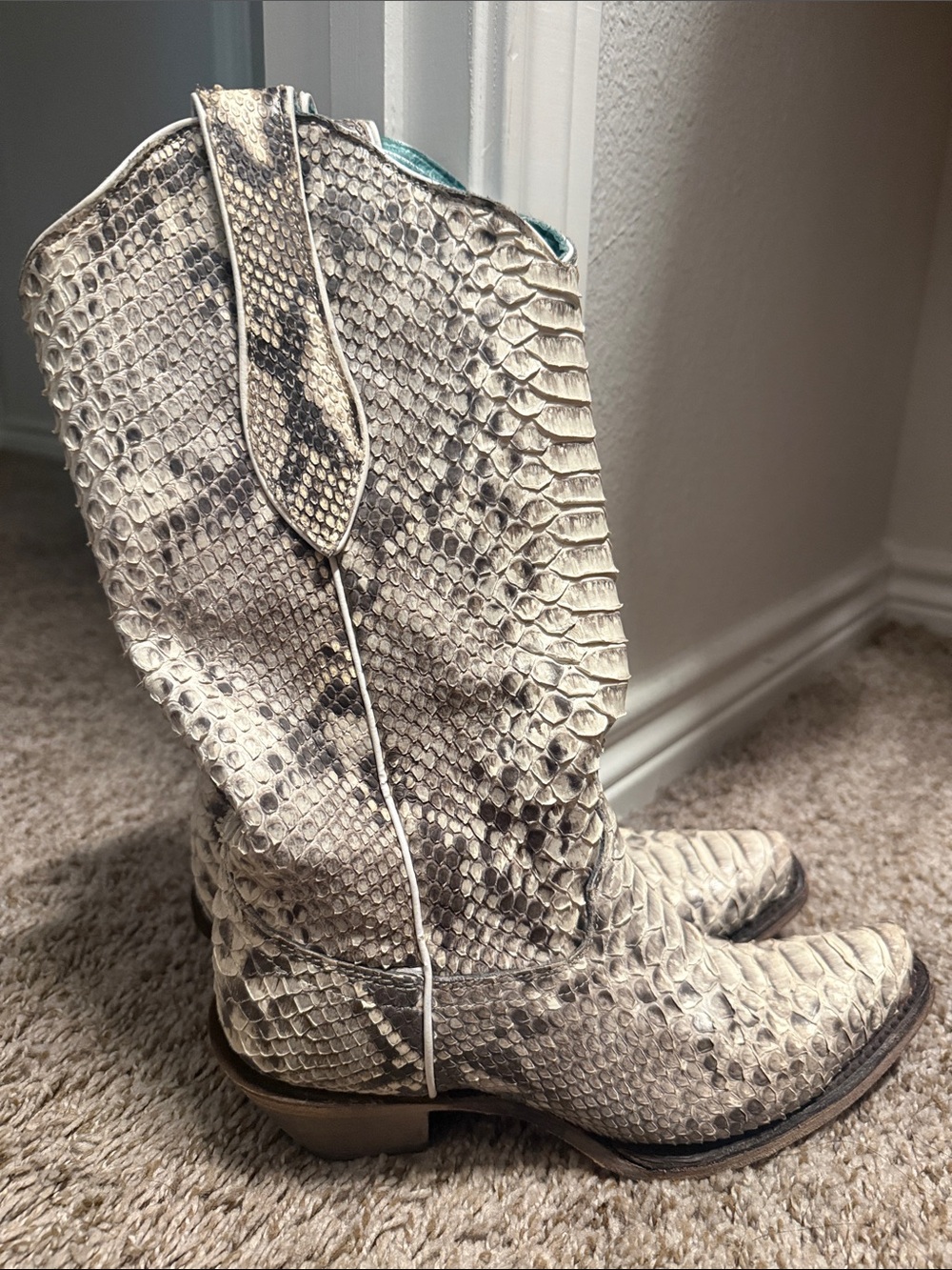 Python-Effect Cream Lace-Up Western Boots for Women